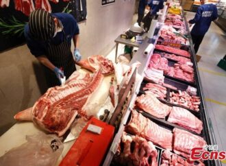 <strong>La producción porcina de China se mantiene estable y resistente a pesar de los informes de interrupción de la peste porcina africana: expertos de la industria</strong>