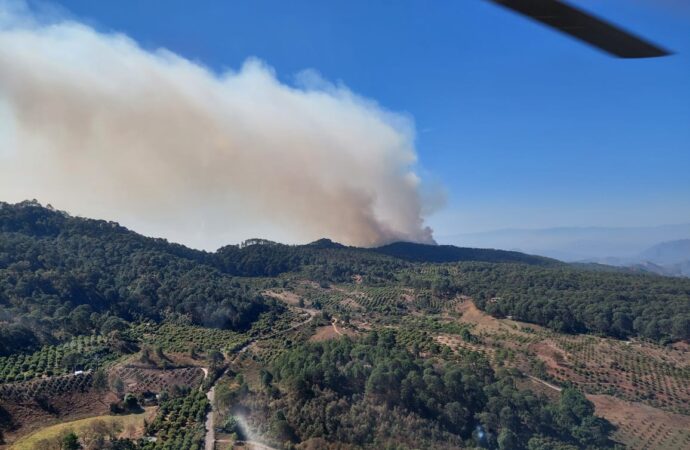 <strong>Liquidan incendio forestal en Cotija, reporta Cofom</strong>