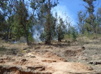 <strong>Cofom atiende y controla 4 incendios forestales en Michoacán</strong>