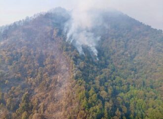 <strong>Más de 400 brigadistas combaten incendio forestal en cerro Grande</strong>