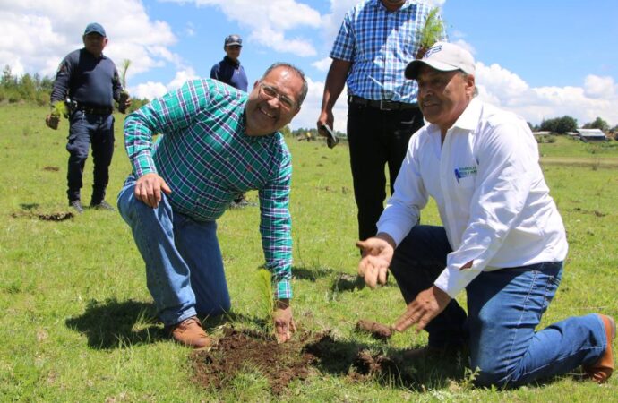 <strong>José Luis Téllez Marín, participó en la reforestación llevada a cabo en la Tenencia de Morelos.</strong>