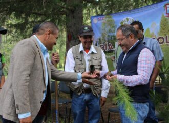 <strong>José Luis Téllez Marín, participó en la plantación de 2 mil pinos, en el marco del Día Mundial del Árbol y el mes del bosque.</strong>