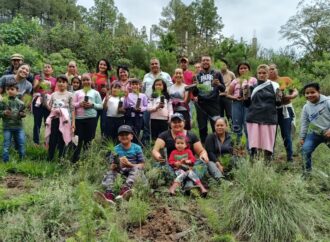 <strong>El Gobierno Municipal, a través de la Dirección de Desarrollo Forestal, reforestó un predio de media hectárea con 500 arbolitos.</strong>