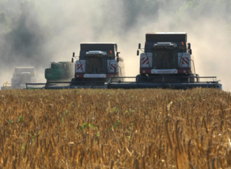 <strong>Rusia planea aumentar la previsión de exportación de grano por más de 55 millones de toneladas</strong>