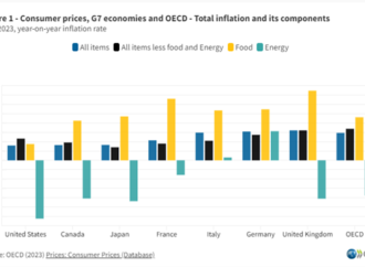 <strong>La inflación general aumenta ligeramente al 5,9% en julio de 2023 a pesar de una disminución en la mayoría de los países de la OCDE</strong>